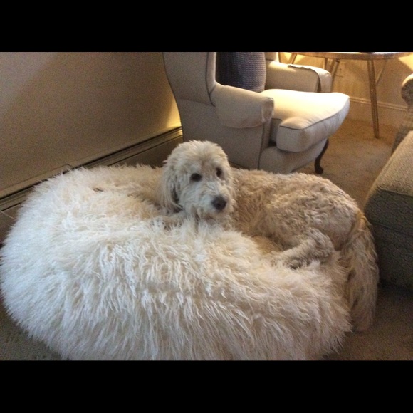 bustergigi14